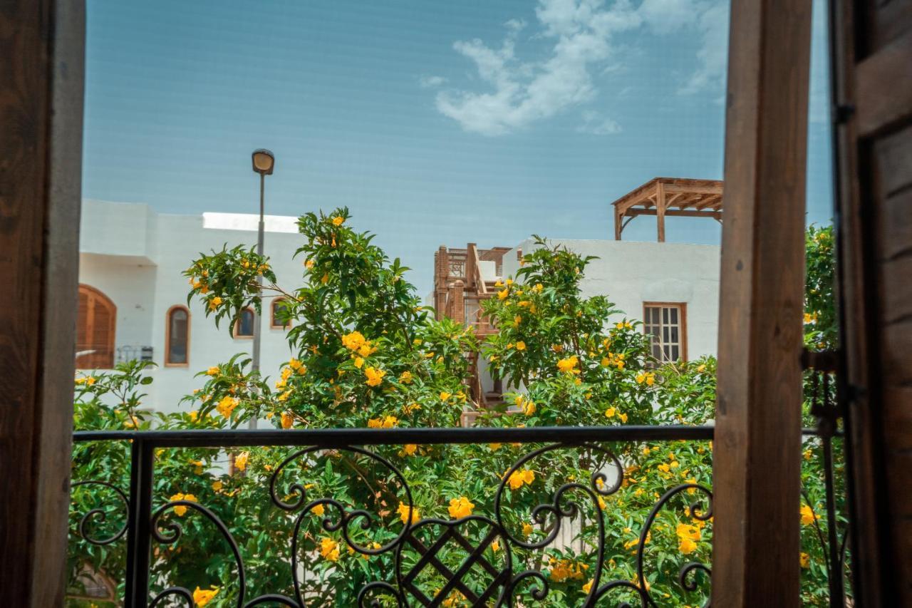 Rafiki Hostels - Dahab Dış mekan fotoğraf